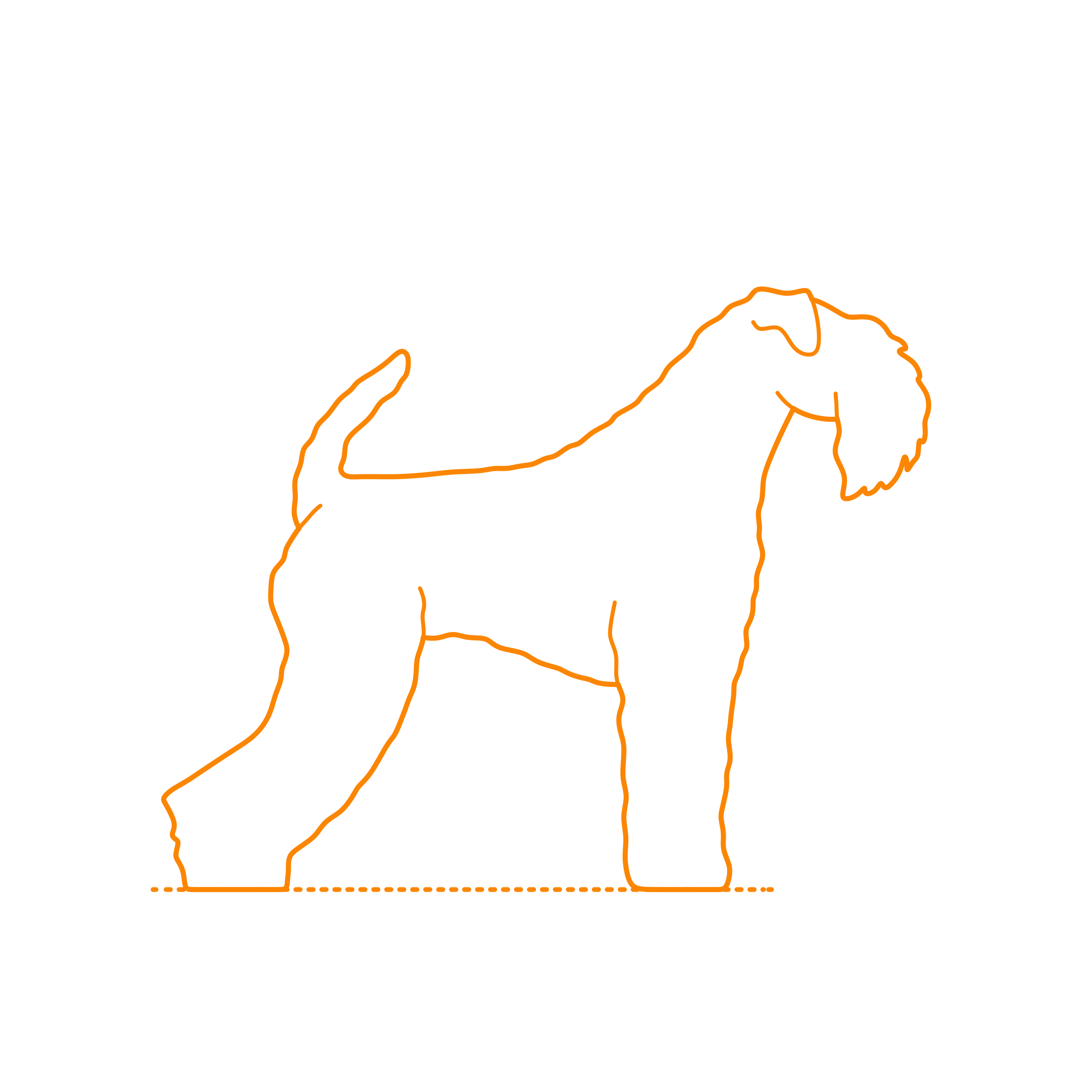Animals Dogs Kerry Blue Terrier Tracing Svg Vector Free Vectors